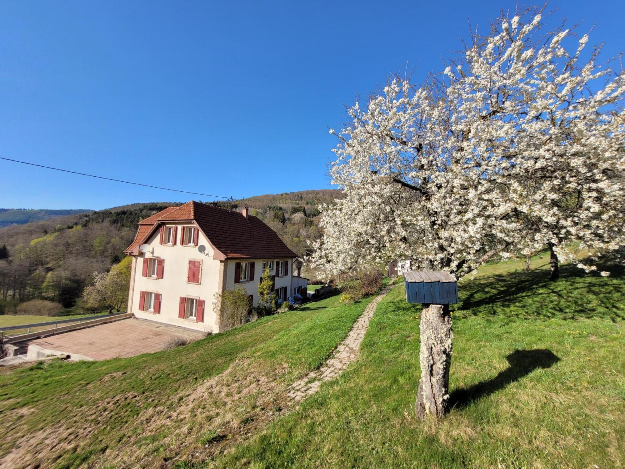 NeuvillerDomaine De La Charriere Sur 63 Ares - 8 Pers Grand Confort别墅 外观 照片